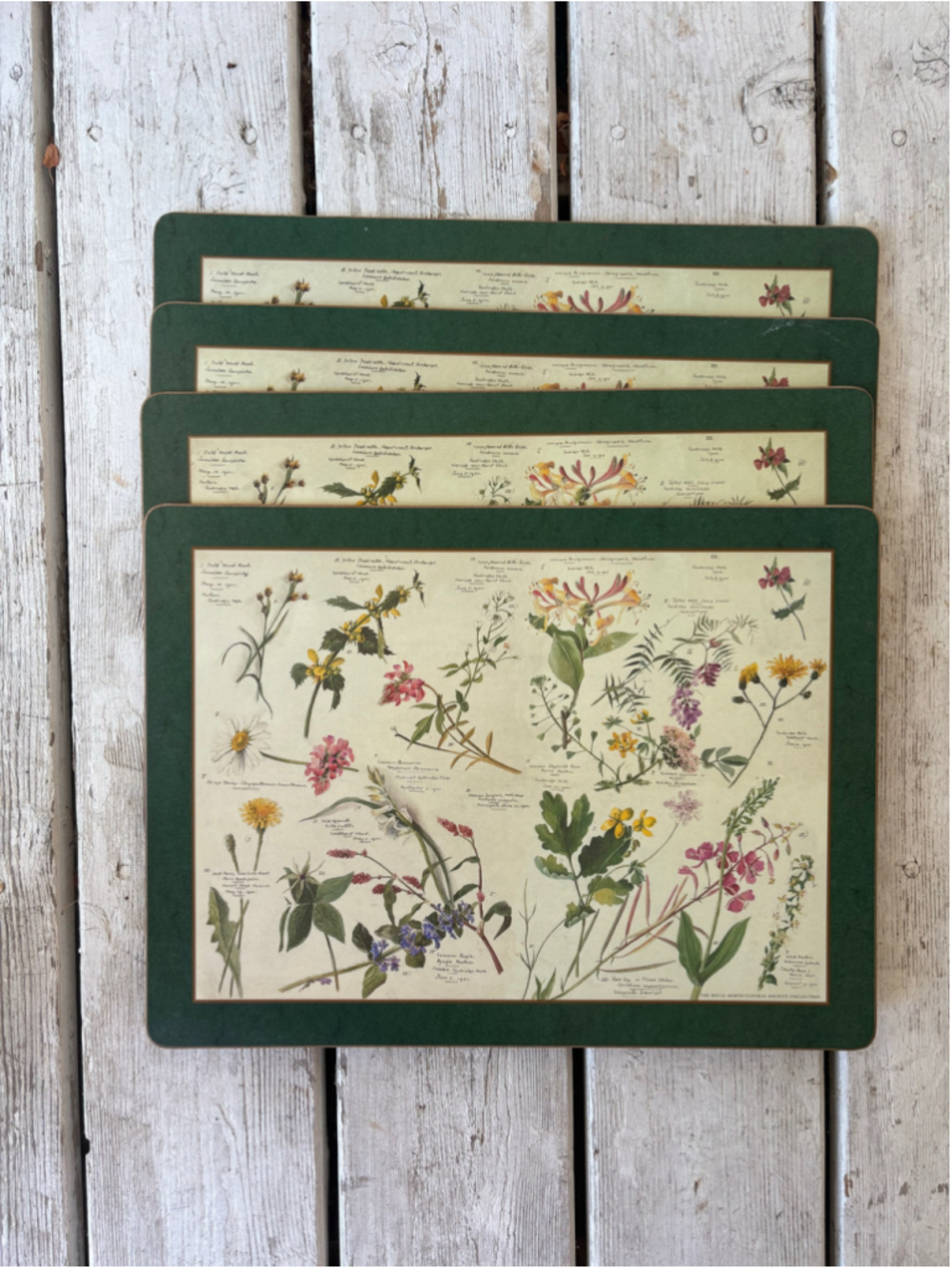 The Royal Horticultural Society Placemats Pimpernel Wildflowers Cork Back
